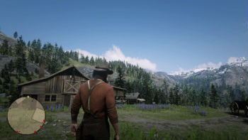rdr2071.jpg