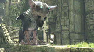 trico02.jpg