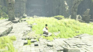 trico03.jpg